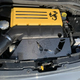 Copertura carbonio vano motore 500 Accessorio