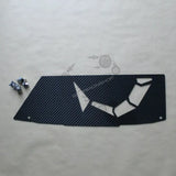 Copertura carbonio vano motore 500 Accessorio