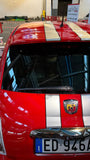 Cover carbonio tergilunotto 500 Accessorio